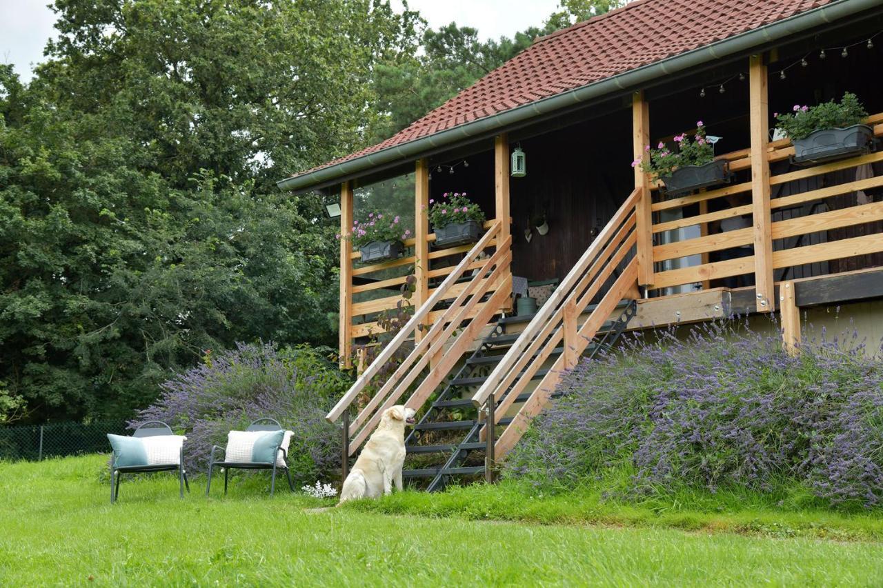 Le Chalet D'Eliot Chevigny  Kültér fotó